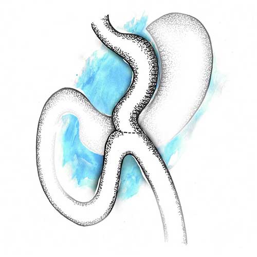 Digestive system image