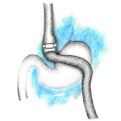 Digestive system image