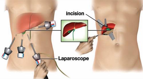 Digestive system image