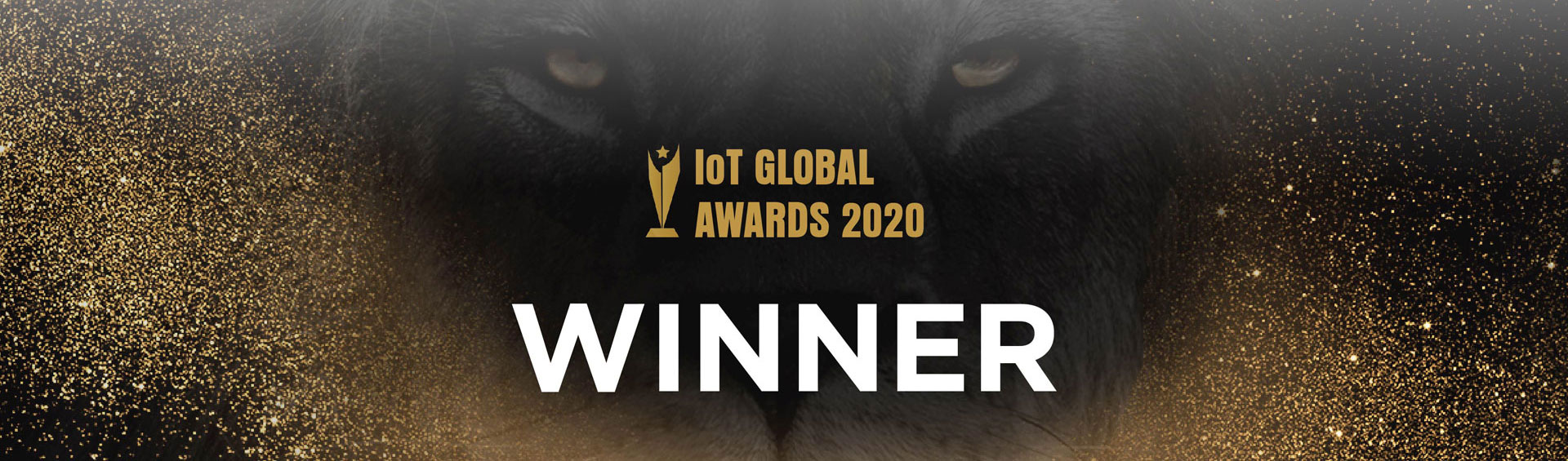 EcoEnergy Insights IoT Global Awards Winner 2020