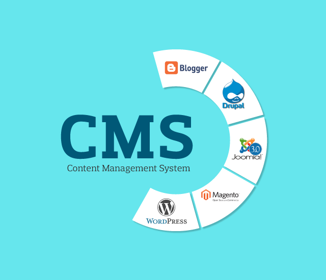 Content Management System-SEO Services