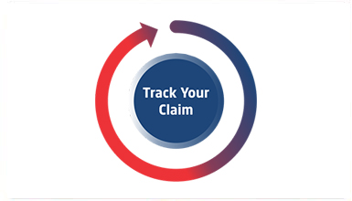 Term Insurance early bird offer